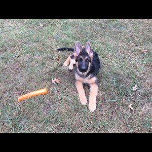 Meet your Posher, Mary